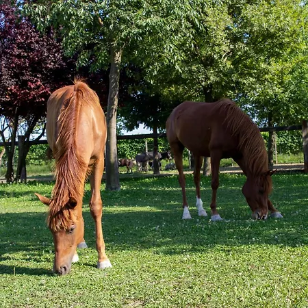 Ranch Borgo Bella לינה וארוחת בוקר Cavalier