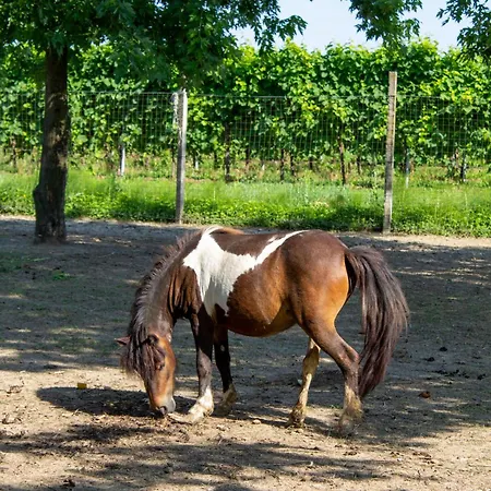 Ranch Borgo Bella 4*