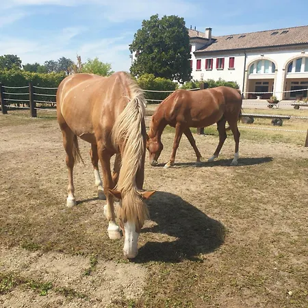 Frühstückspension Ranch Borgo Bellavita 4*
