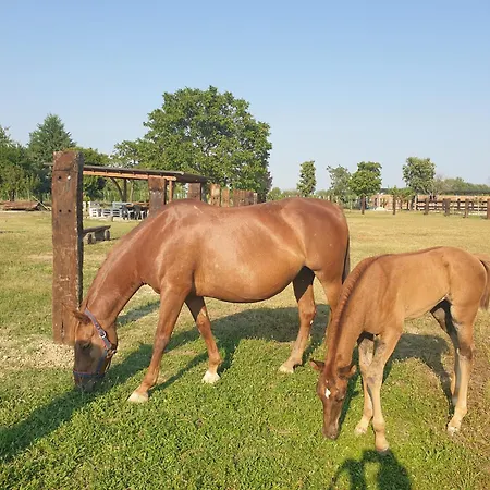 Ranch Borgo Bella 4* Cavalier