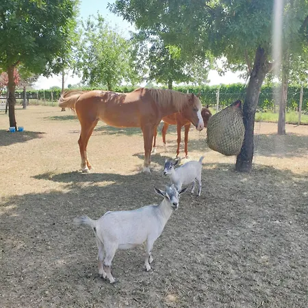 Bed & Breakfast Ranch Borgo Bella