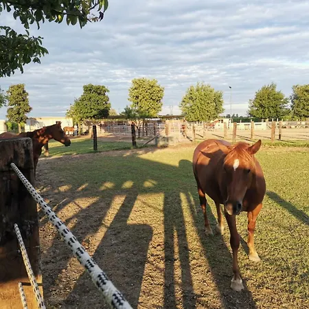 Panzió Ranch Borgo Bellavita 3*