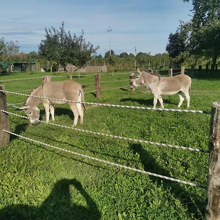 Ranch Borgo Bella 3* Fossalta Maggiore