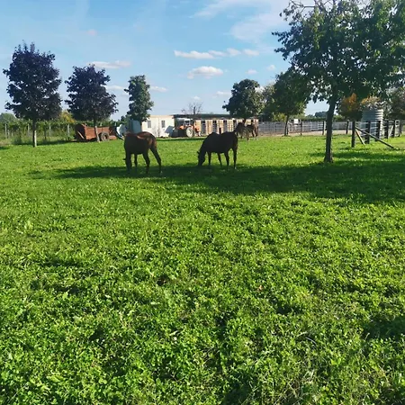 Ranch Borgo Bella