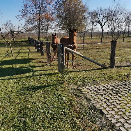 Ranch Borgo Bellavita Bed & Breakfast 3*