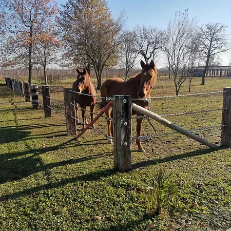 Ranch Borgo Bella Bed & Breakfast 3*
