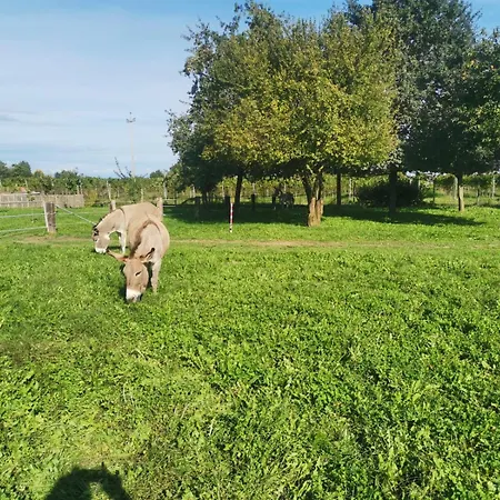 Ranch Borgo Bella Bed & Breakfast