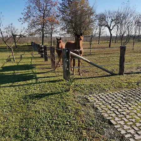 Ranch Borgo Bellavita Bed & Breakfast