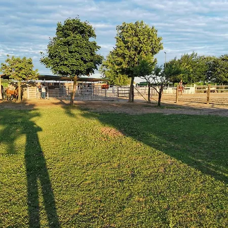 Ranch Borgo Bella Fossalta Maggiore