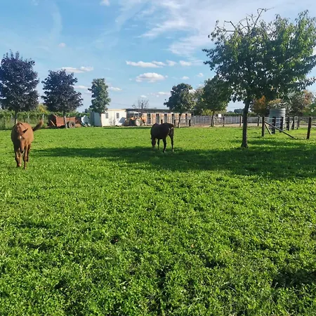 Bed & Breakfast Ranch Borgo Bella Fossalta Maggiore