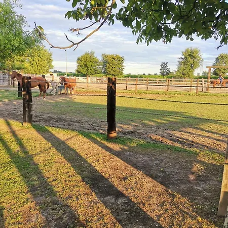 Bed & Breakfast Ranch Borgo Bella